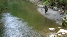 fotogramma del video Risorse ittiche: Zannier, ok a immissione trota per pesca ...